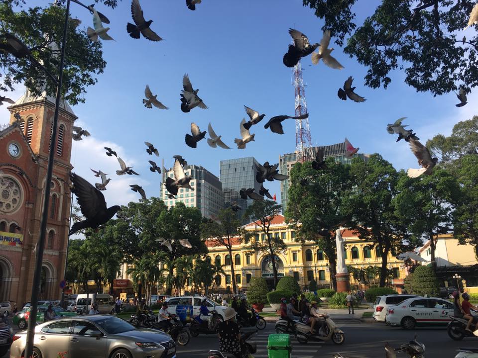 How do you move in Ho Chi Minh City?